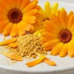 Ringelblumenextrakt (Lutein)