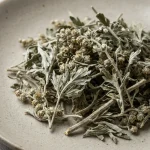 Wermut-Extrakt (Artemisia absinthium)